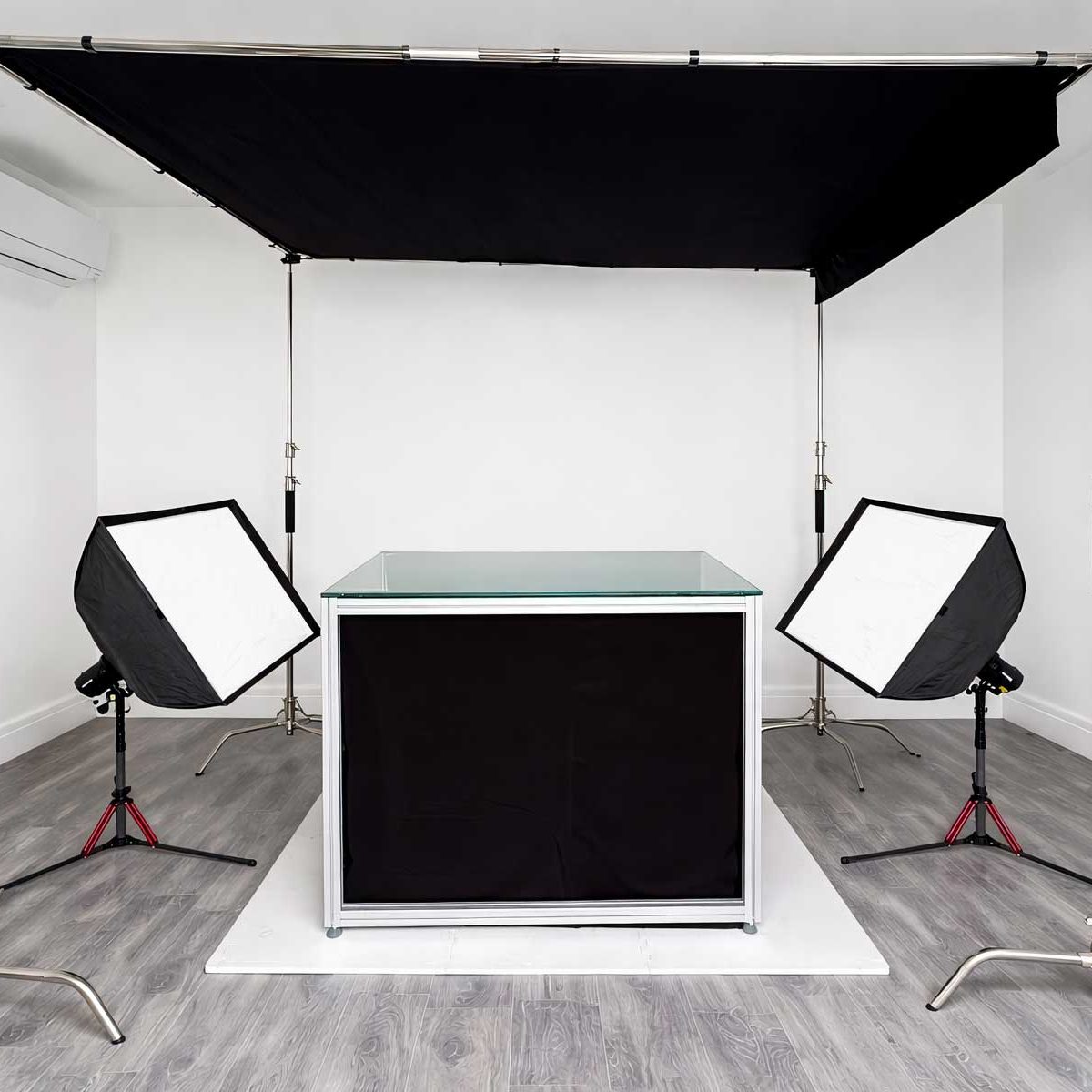 Salisbury Pet Photographer